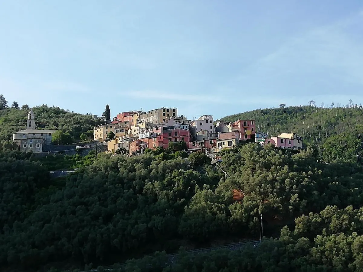 Casa Lorenzo Sulle Colline Di Levanto E Vicino Alle Cinqueterre Lt-0620 Appartement